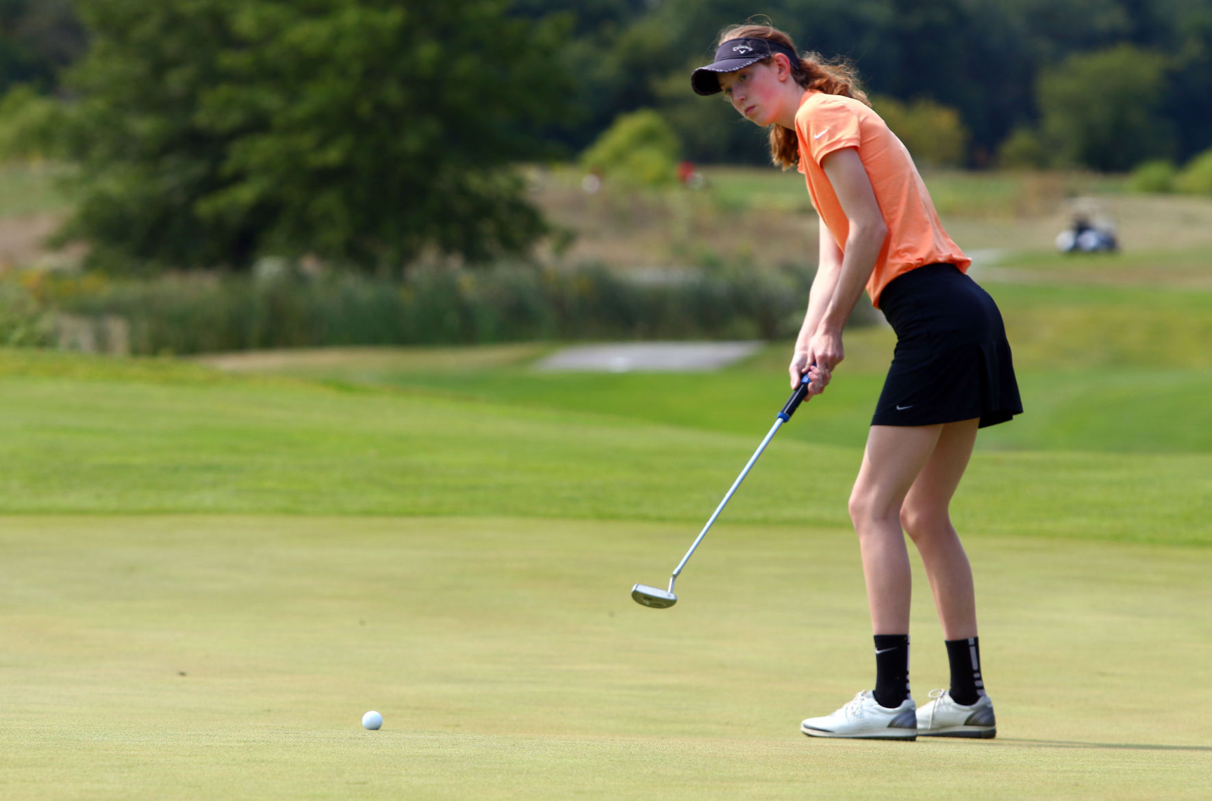 Gallery: Girls Golf Duneland Athletic Conference Tournament